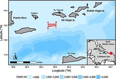 Demographic Recovery of a Reef Fish Population Over 30 Years of Spawning Aggregation Site Protection